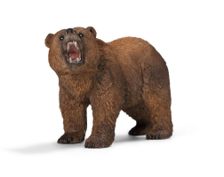 Grizzly Bear