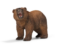 Grizzly Bear