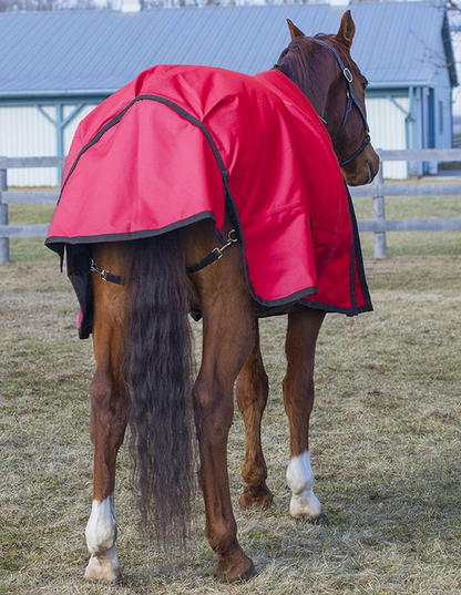 Canadian Horsewear Diablo Habanera Turnout w/ Neck, 300gm Fill