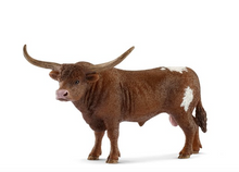 Texas Longhorn Bull