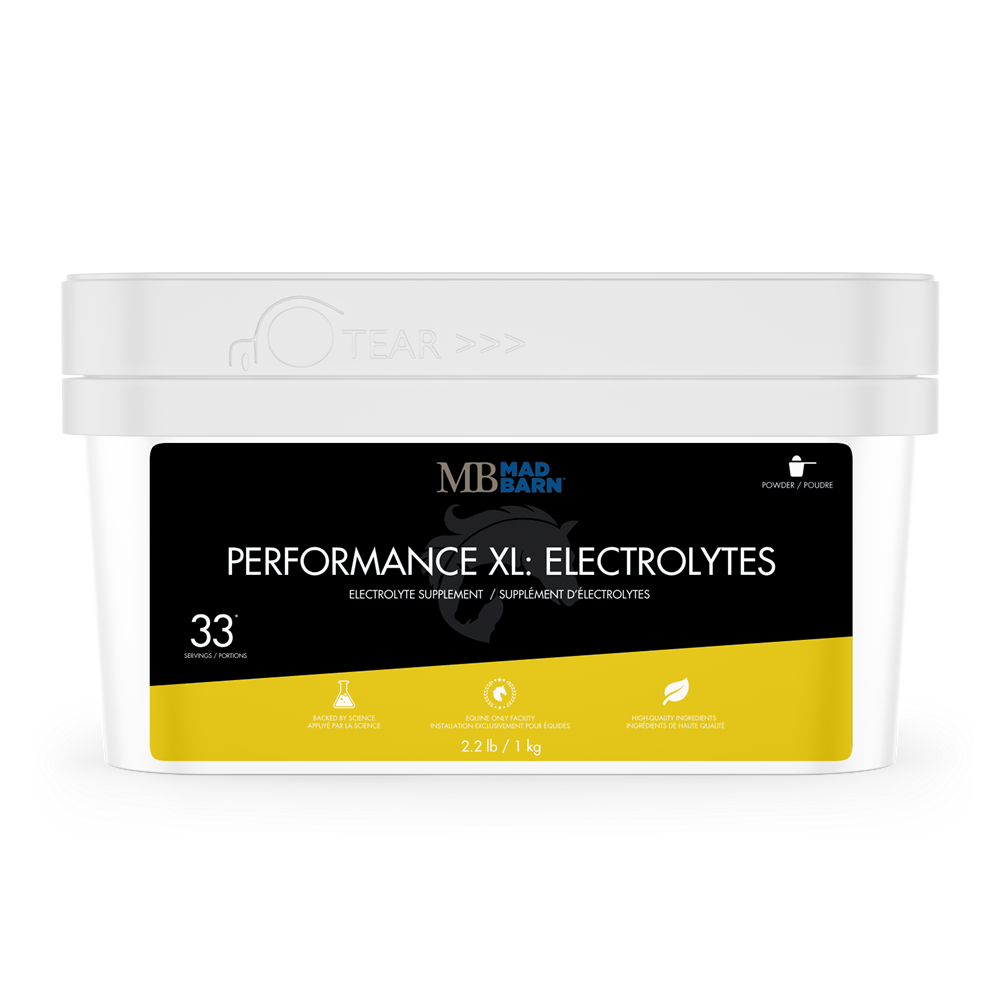 Mad Barn Performance XL: Electrolytes