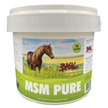 Basic MSM 1kg