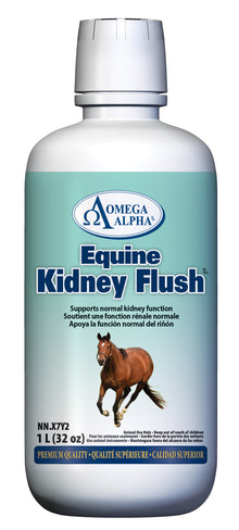 Equine Kidney Flush, 1L