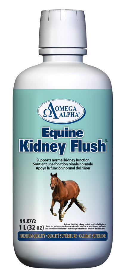 Equine Kidney Flush, 1L