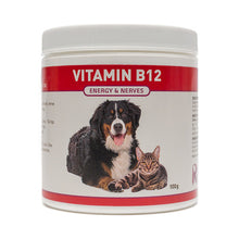Vitamin B12 (Dog and Cat)