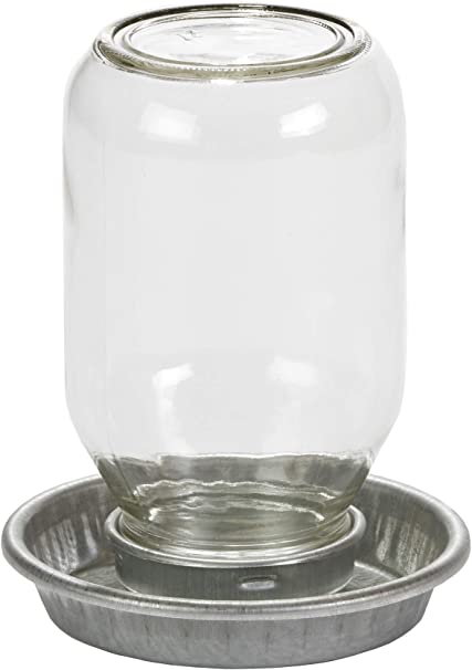 Miller Galvanized and Glass Mason Jar Chick Waterer - 1 Quart