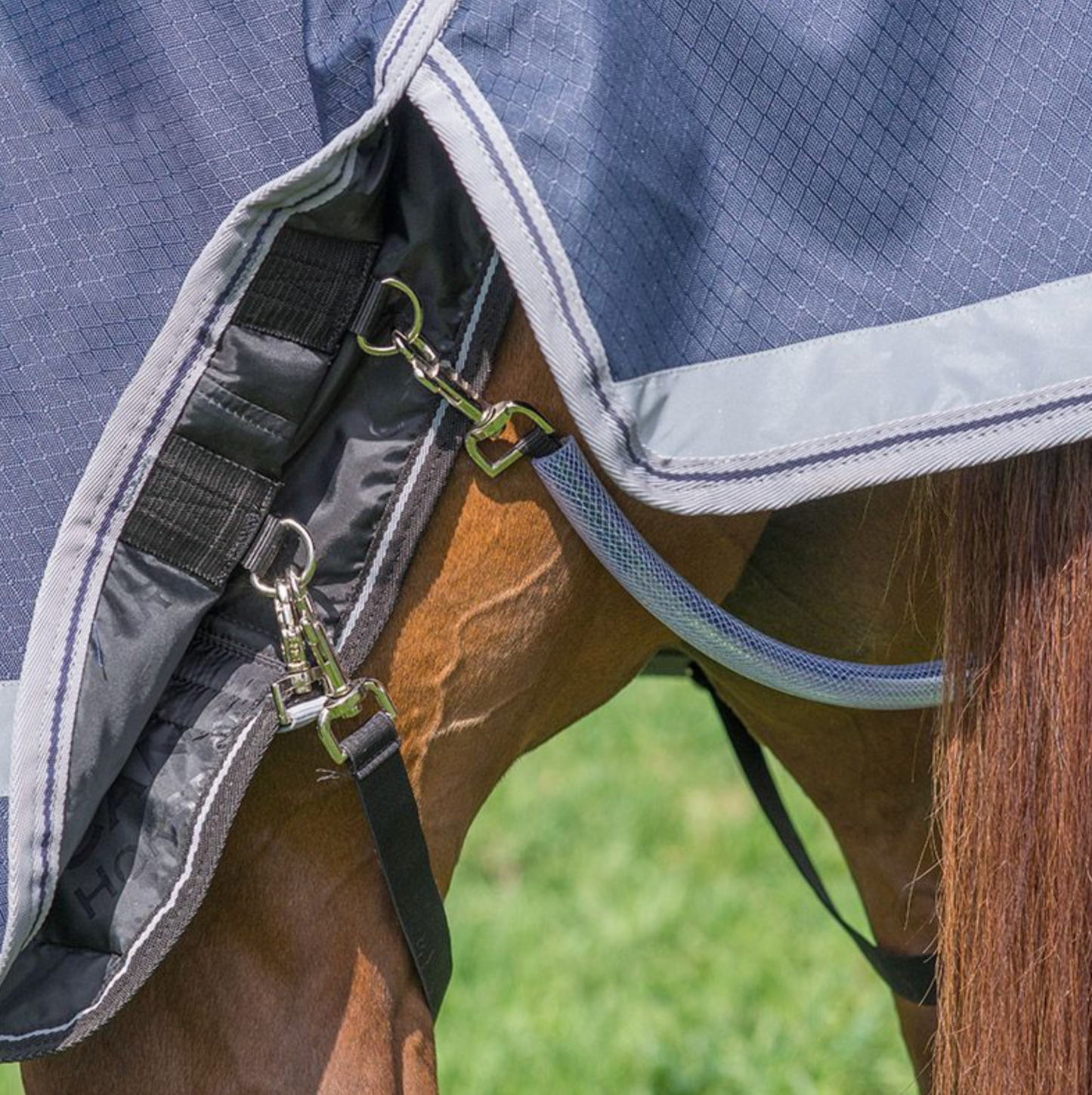 Canadian Horsewear Atlantis Diablo 300gm